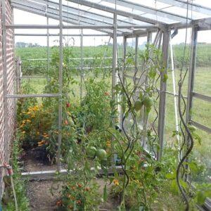 mantenimiento jardin