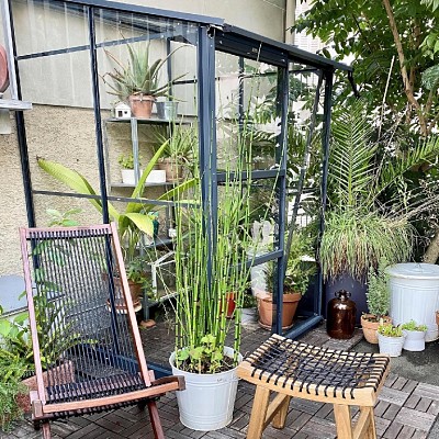 mantenimiento jardin mantenimiento jardin