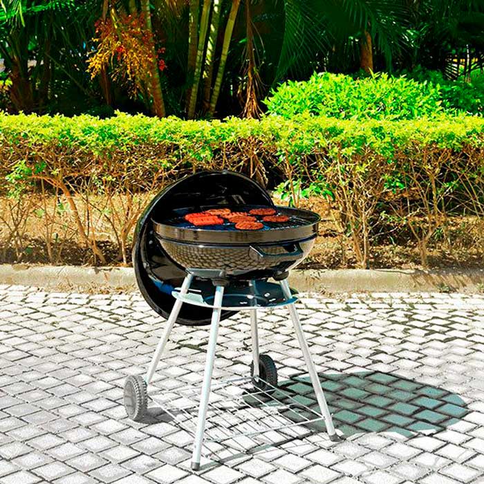 barbacoa-de-carbon barbacoa-de-carbon