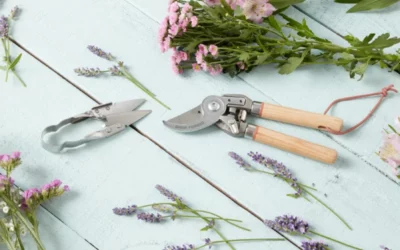 ¿Cómo cuidar un jardín?: consejos y herramientas