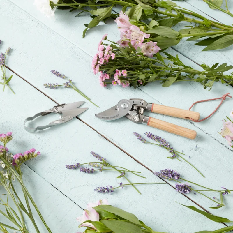 como-cuidar-jardin cómo cuidar un jardín