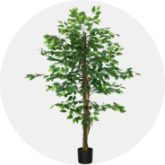 Macetas y cuidado de las plantas
