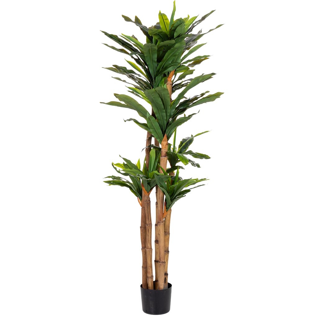 Planta dracaena decorativa artificial en maceta 40x30x150h cm