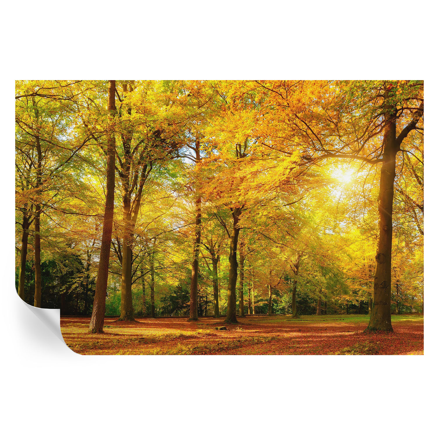Papel pintado para paredes hojas doradas 104x152 tulup