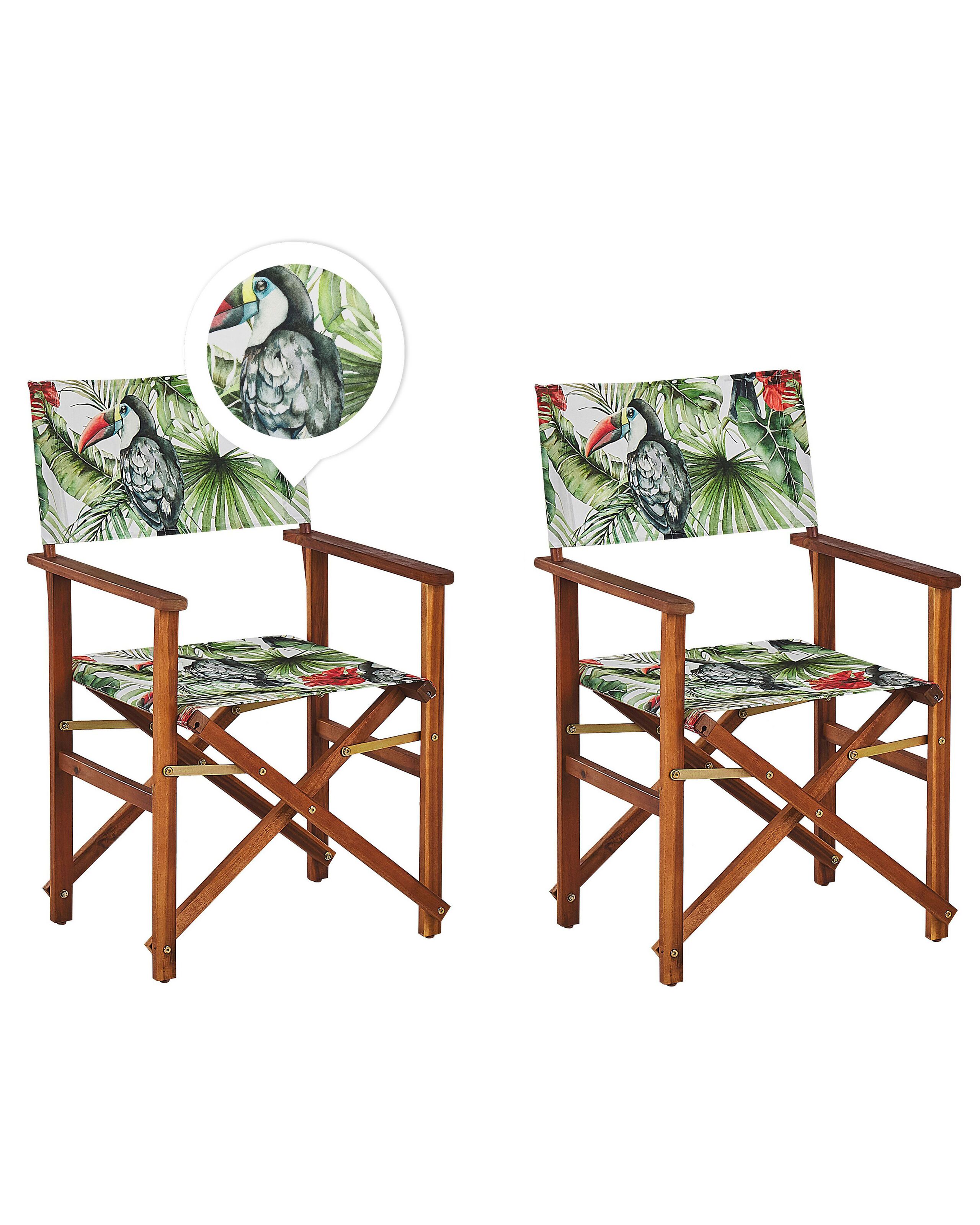 Conjunto de 2 sillas de jardín cine madera de acacia verde