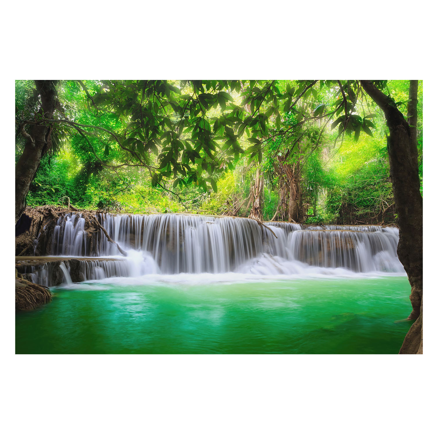 Papel pintado tejido no tejido 250x250 cascada del bosque tulup