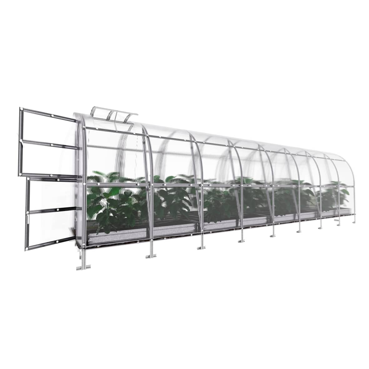 Invernadero de jardín slim 2 x 8 m (16 m²), policarbonato de 6mm