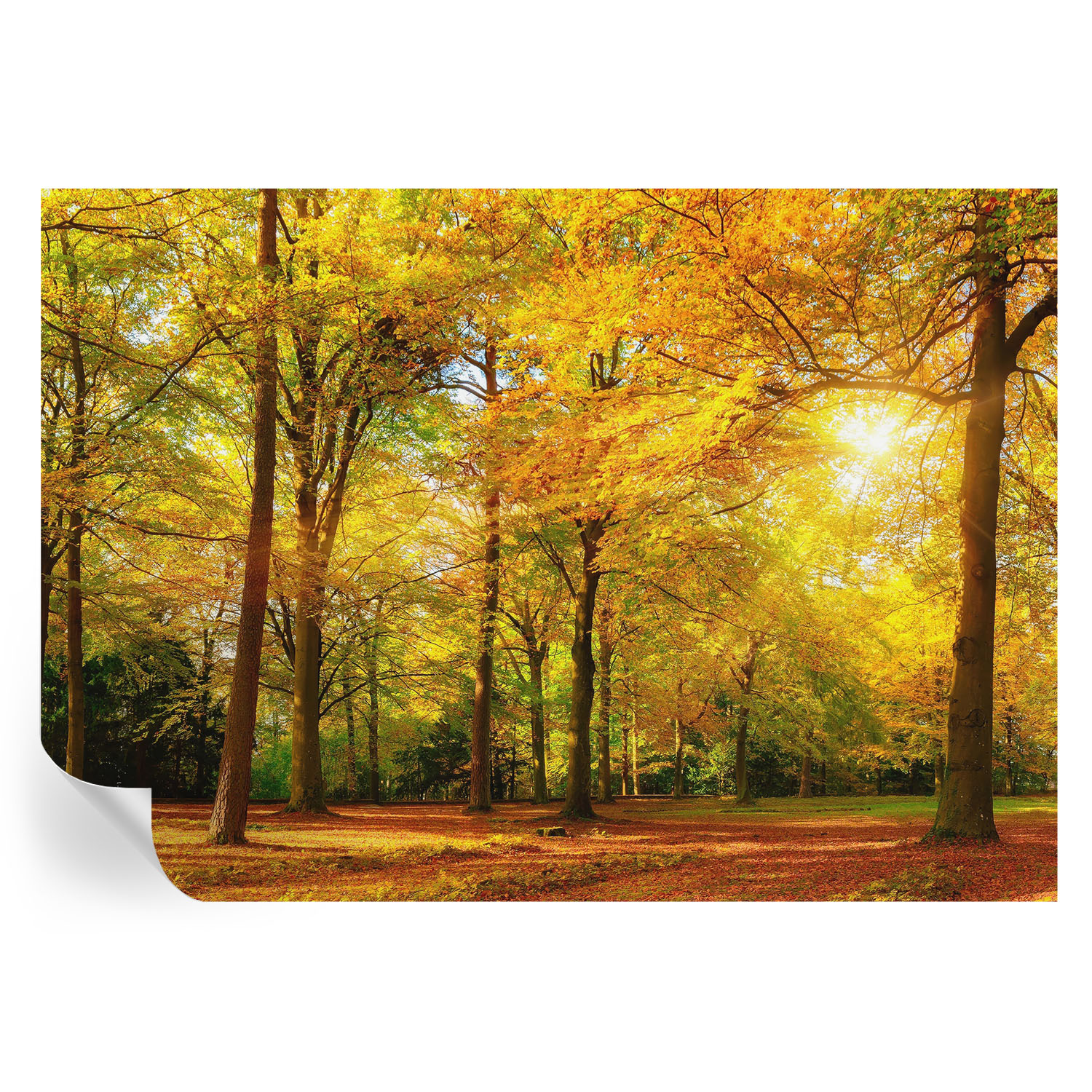 Papel pintado para paredes hojas doradas 208x146 tulup