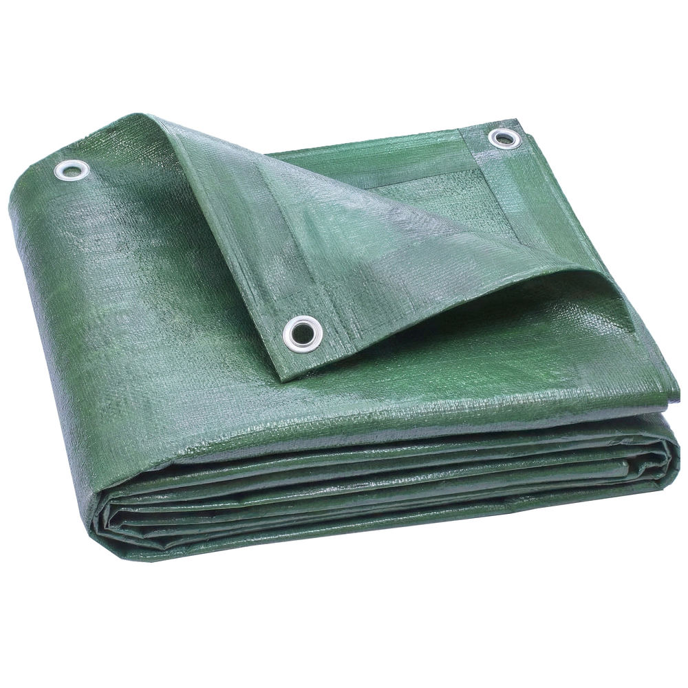 Lona impermeable exterior 800x600 cm pe color verde Outsunny