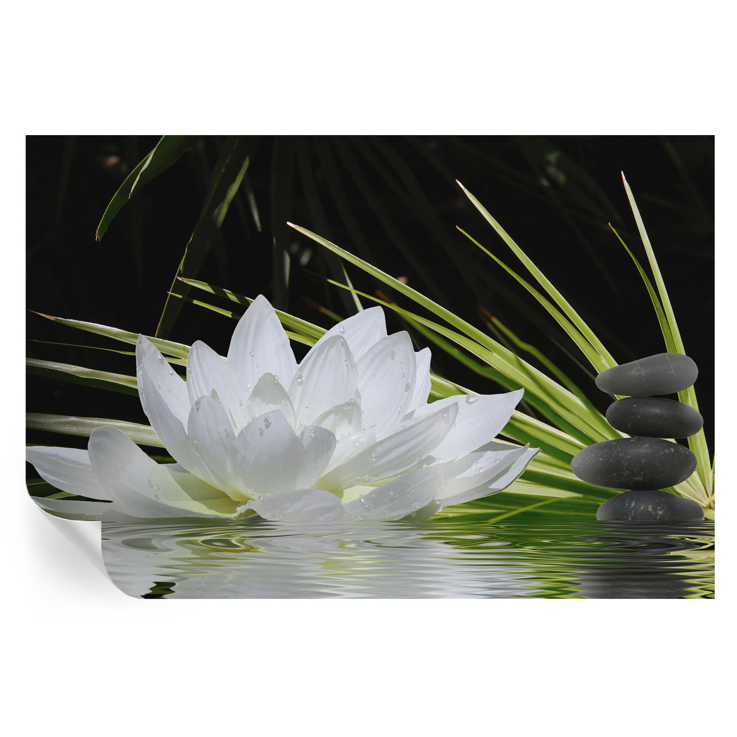 Papel pintado para paredes meditación de lily 104x152 tulup