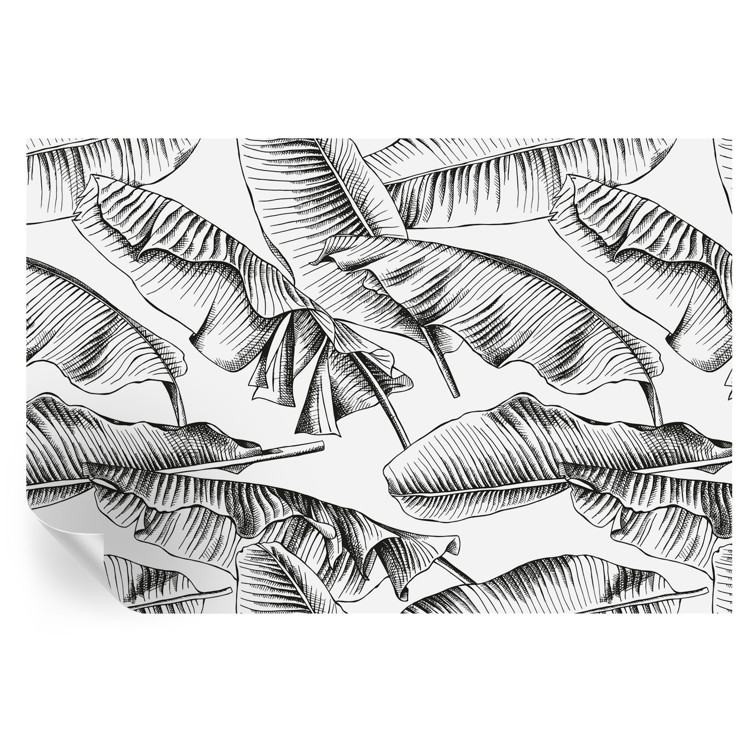 Papel pintado autoadhesivo hojas de plátano 104x152 tulup