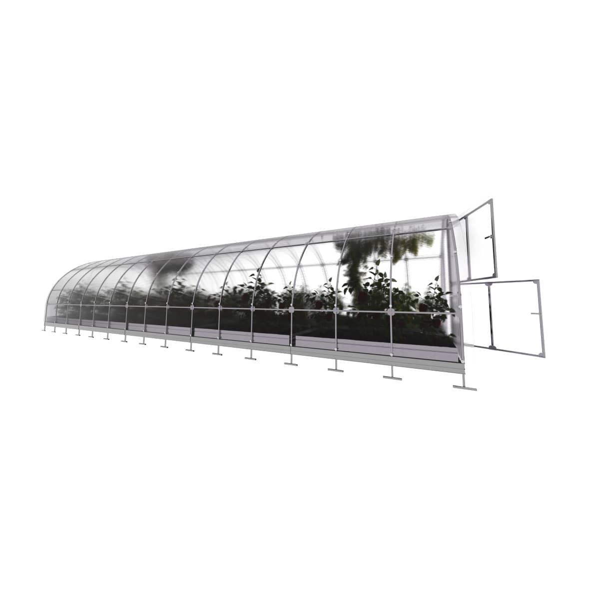 Invernadero de jardín tube 3 x 10 m (30 m²), policarbonato de 4mm