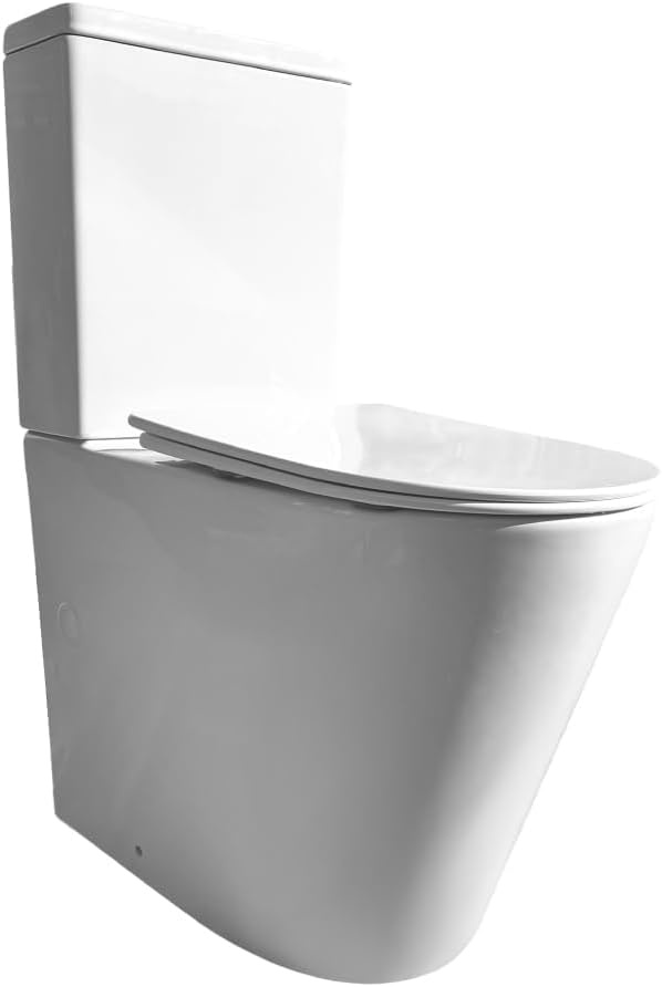 Inodoro adaptado personas movilidad reducida sistema rimless salida dual