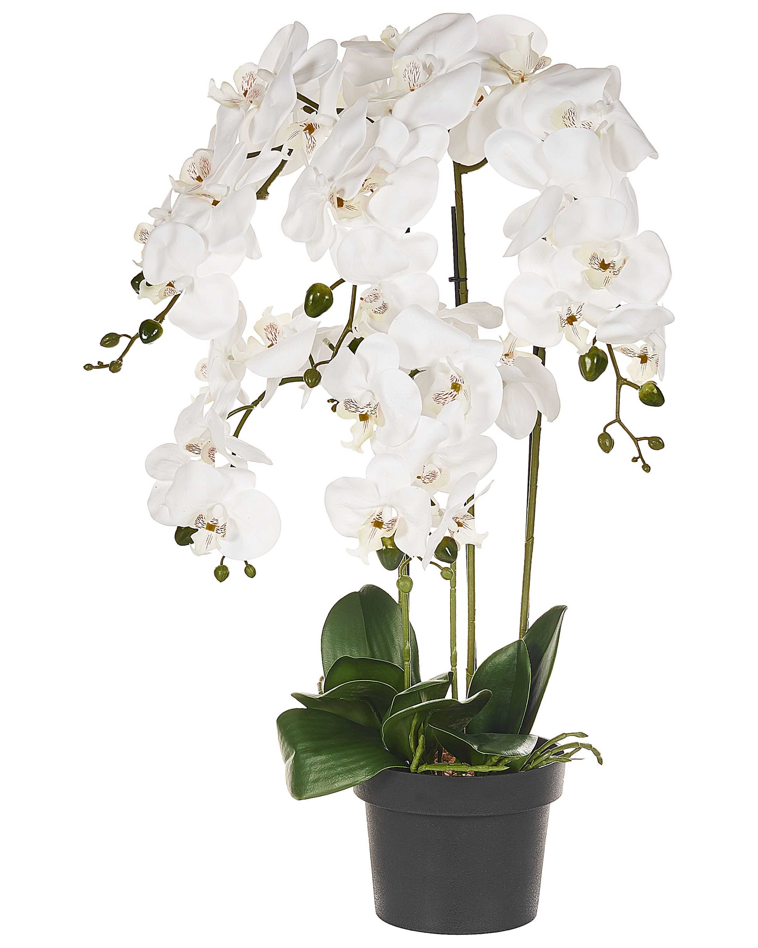 Planta artificial orchid 65 cm blanco