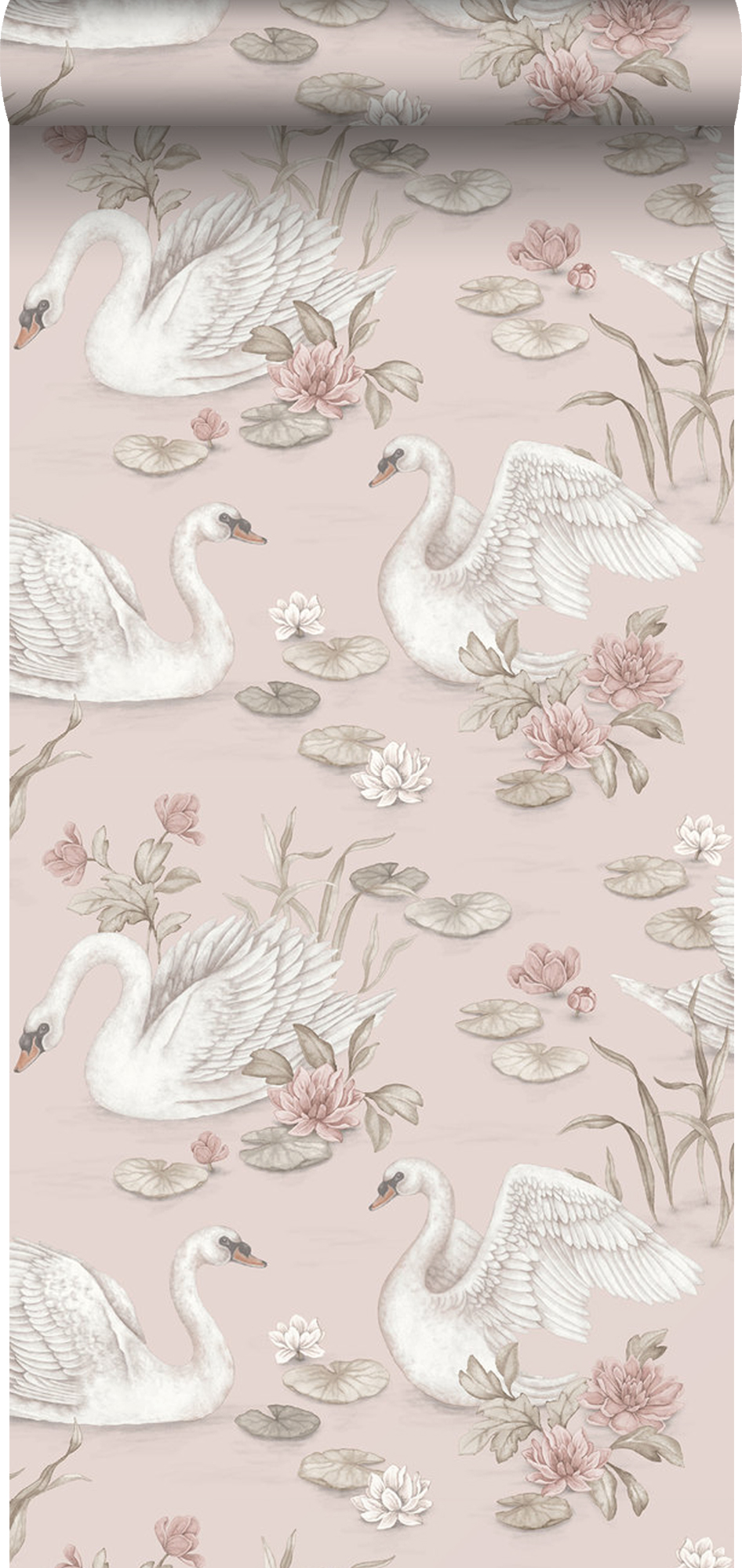 Borastapeter papel pintado cisnes rosa - 53 cm x 10.05 m - 660611