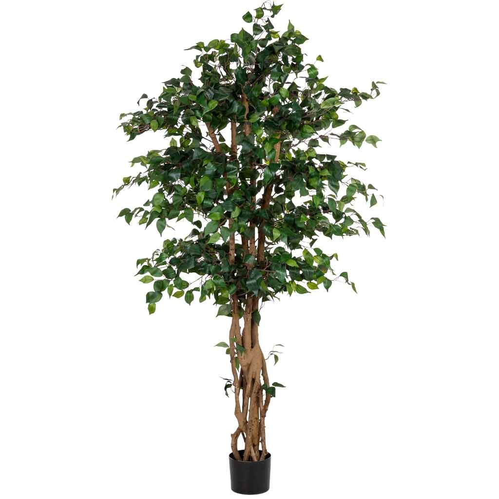 Planta banyan decorativa artificial en maceta 40x30x180h cm