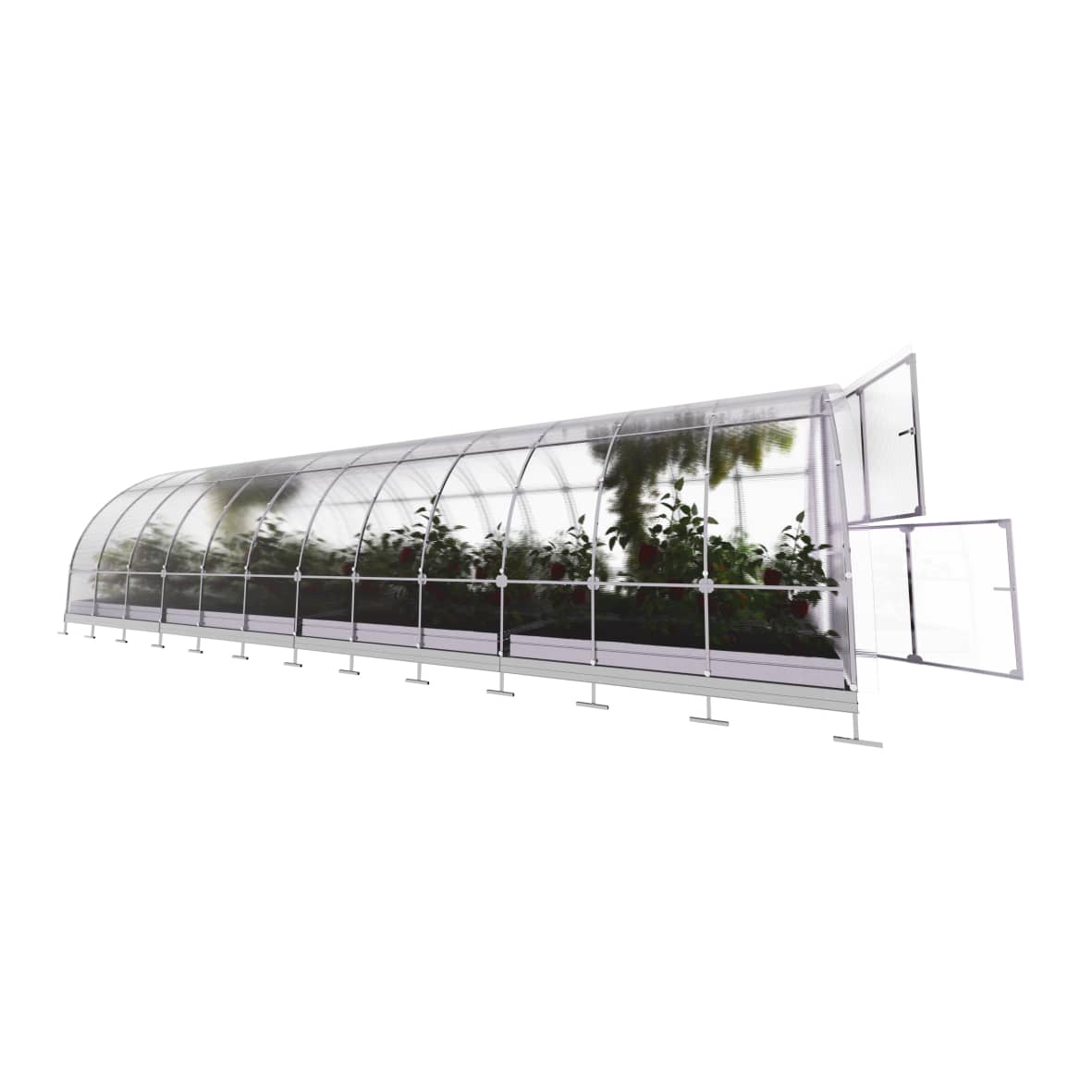 Invernadero de jardín tube 3 x 8 m (24 m²), policarbonato de 4mm