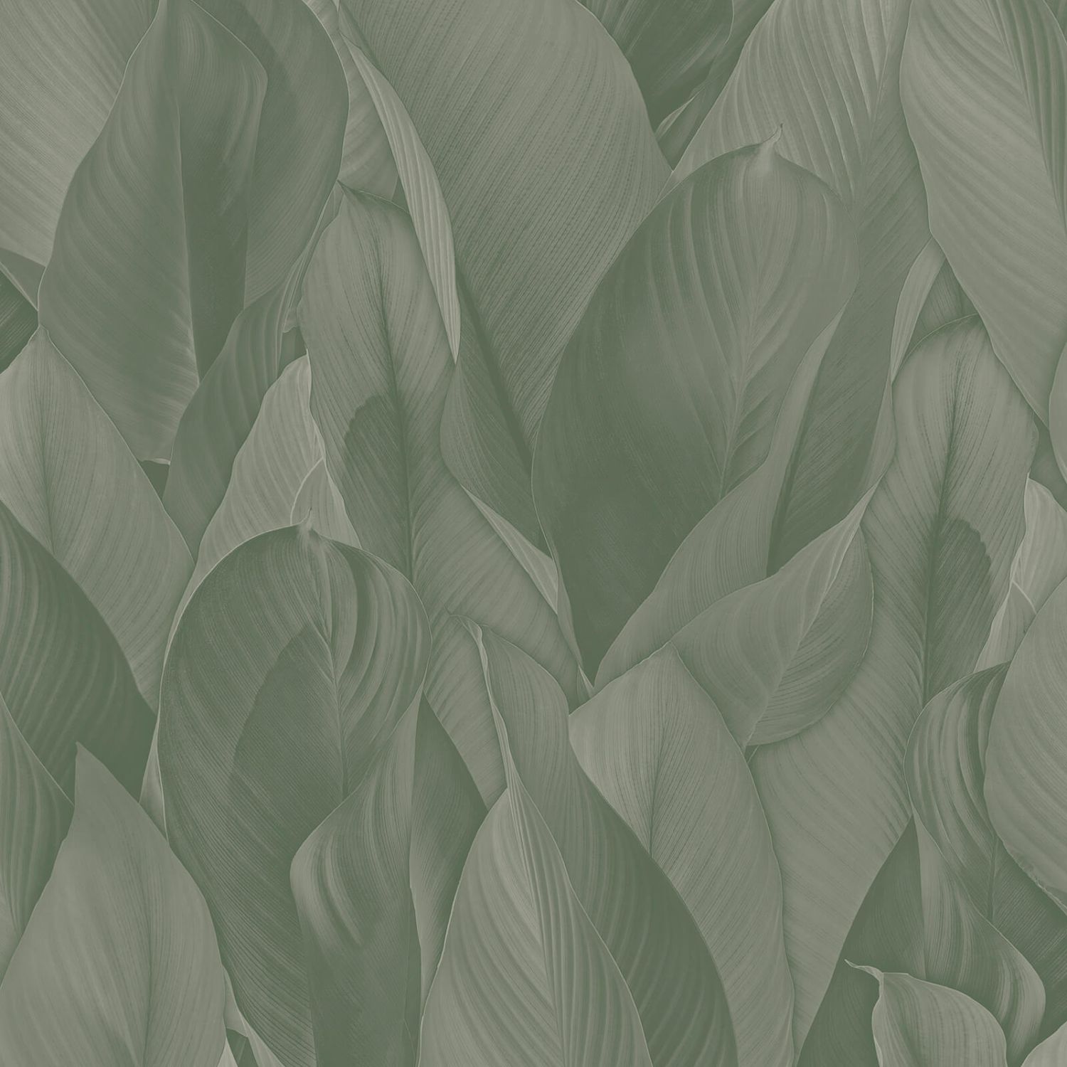 Zambaiti papel pintado hojas verde grisáceo - 53 cm x 10.05 m - 662249