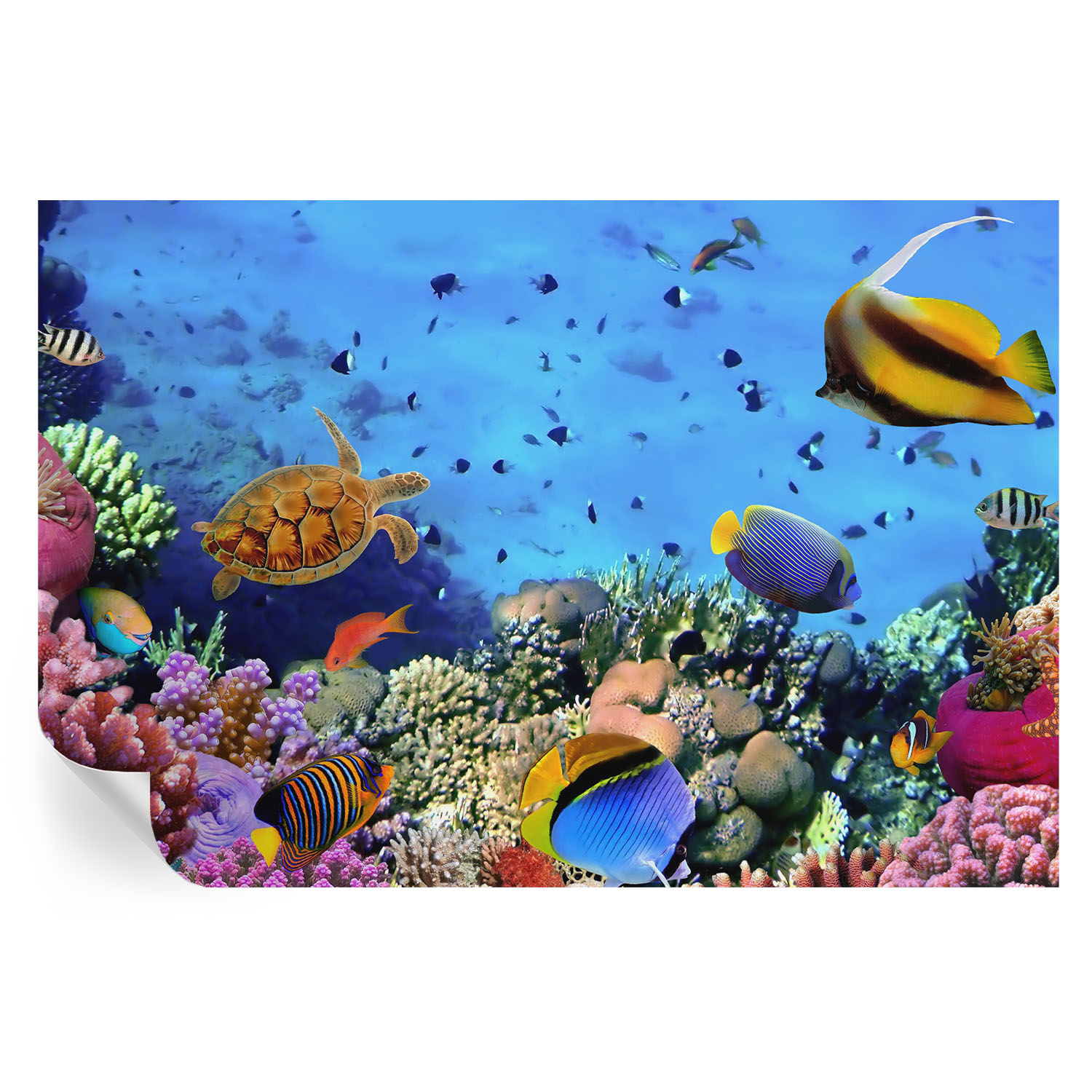 Papel pintado para paredes arrecife de coral 104x152 tulup
