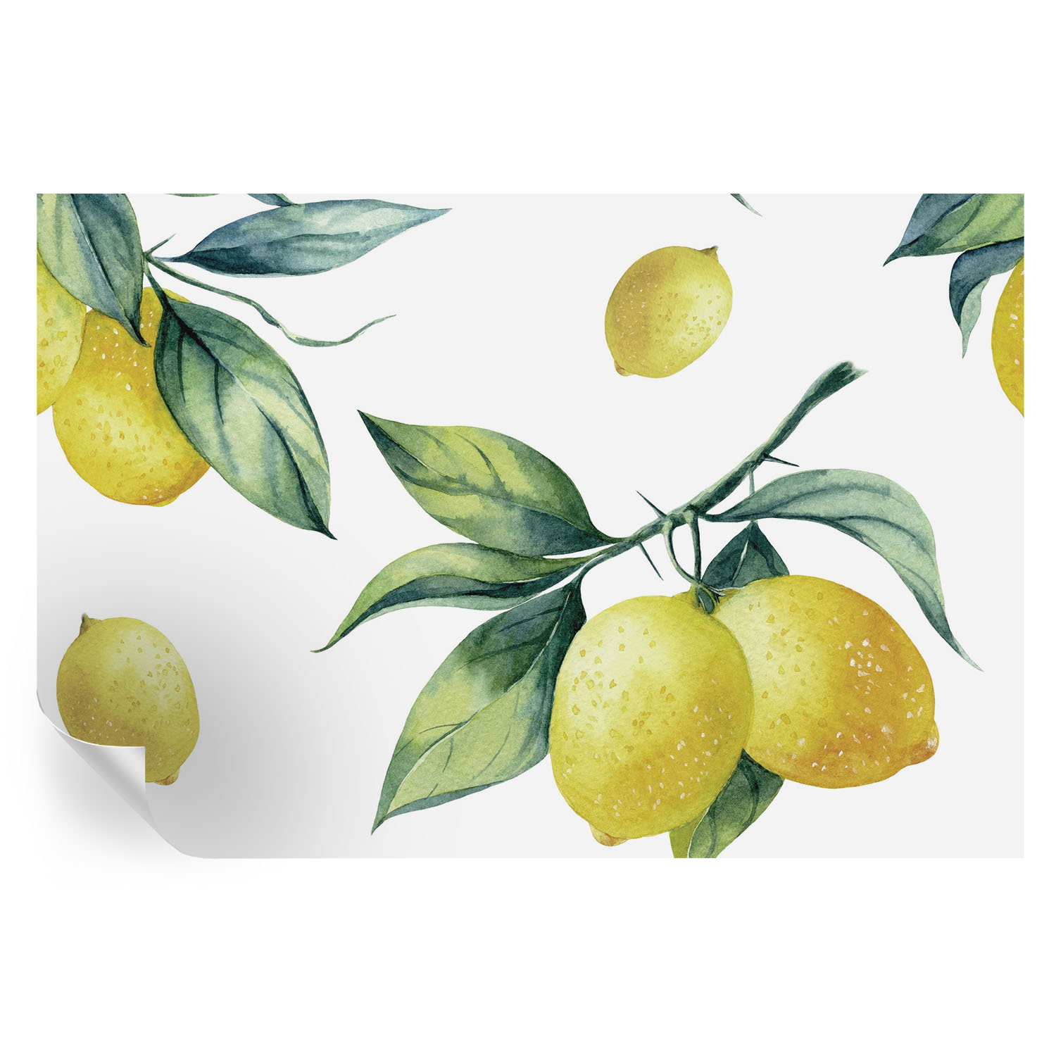 Papel pintado autoadhesivo motivo de limón 104x152 tulup