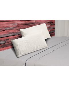 Pack 2 almohadas viscoelastica aloe vera 70