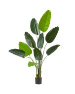 Árbol ave del paraíso artificial, realista con hojas grandes, 160 cm