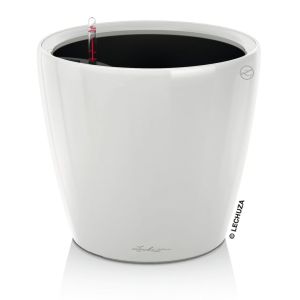 Lechuza macetero de mesa classico ls 21 all-in-one banco brillo