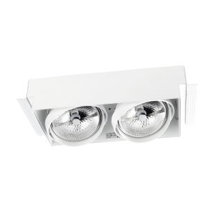 LEDs c4 downlight multidir double LED 299mm trimless 100w 39.9º blanco ip2