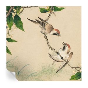 Papel pintado autoadhesivo dúo clásico 250x250 tulup