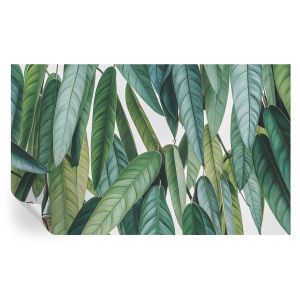 Papel pintado autoadhesivo hojas naturales 416x254 tulup