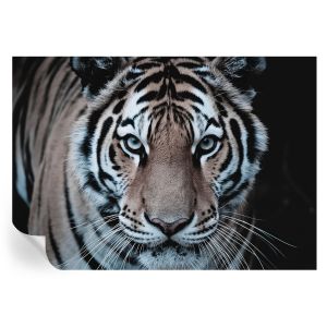 Murales autoadhesivos retrato de tigre 208x146 tulup