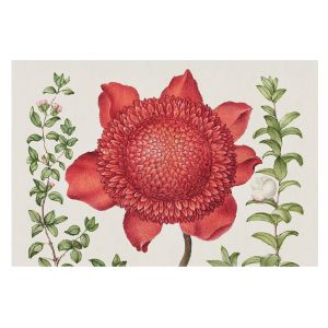 Papel pintado tejido no tejido 312x219 elegancia floral tulup
