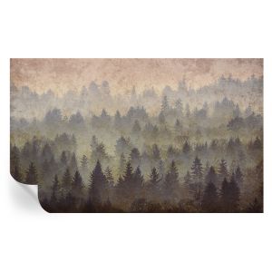 Papel pintado para paredes niebla forestal 416x254 tulup