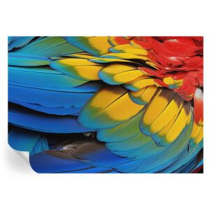 Papel pintado autoadhesivo plumas arcoíris 208x146 tulup
