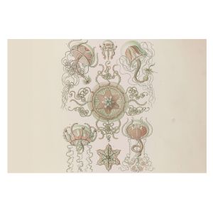 Papel pintado tejido no tejido 312x219 mundo submarino tulup