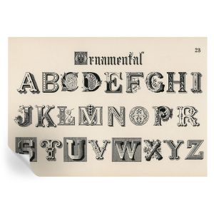 Papel pintado autoadhesivo letras decorativas 208x146 tulup
