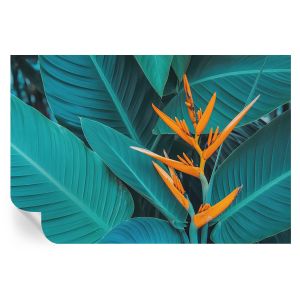 Murales autoadhesivos flores frondosas 104x152 tulup