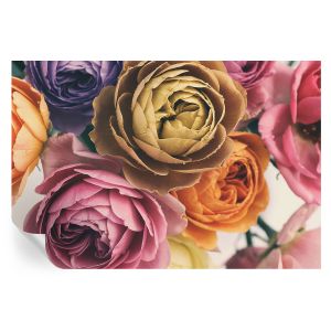 Murales autoadhesivos rosas coloridas 104x152 tulup