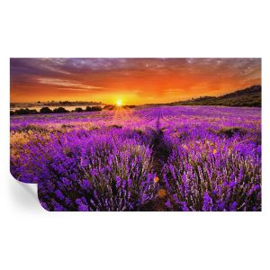 Murales autoadhesivos atardecer lavanda 416x254 tulup