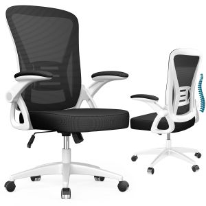 Silla de oficina con reposabrazos ajustables, blanco