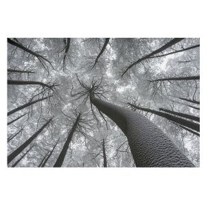 Papel pintado tejido no tejido 312x219 paisaje invernal tulup