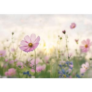 Papel pintado pared flores campo 300x210 fotomurales dormitorio tnt