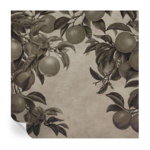 Murales autoadhesivos patrón de frutas 250x250 tulup