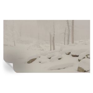 Papel pintado autoadhesivo bosque nevado 416x254 tulup
