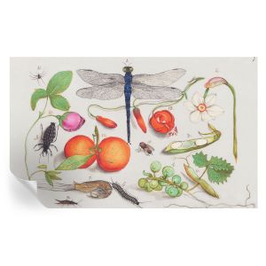 Papel pintado para paredes ilustración de la naturaleza 416x254 tulup