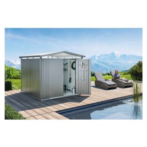 CASETA METALICA BIOHORT JARDIN PANORAMA P1 DOBLE PUERTA COLOR PLATA