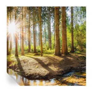 Murales autoadhesivos idilio forestal 250x250 tulup