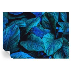 Papel pintado autoadhesivo hojas azules 208x146 tulup