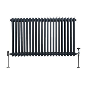 Radiador tradicional horizontal de 2 columnas - 600 x 1012 mm - gris