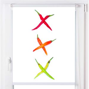 Estoralis | estor enrollable personalizado c-1190 75x150 multicolor